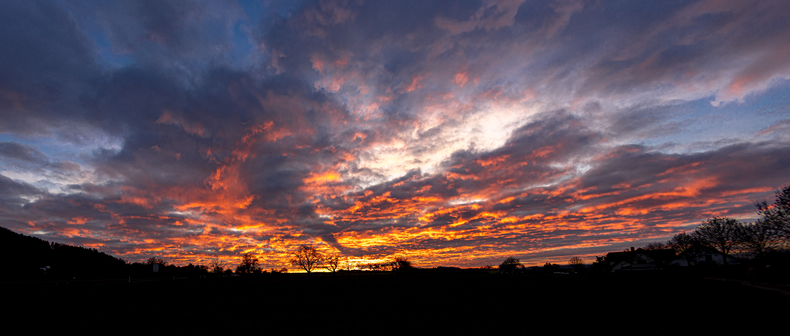 20251129163641 R5D 5579